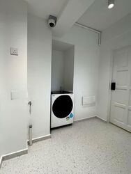 Lucky Plaza (D9), Apartment #536186571